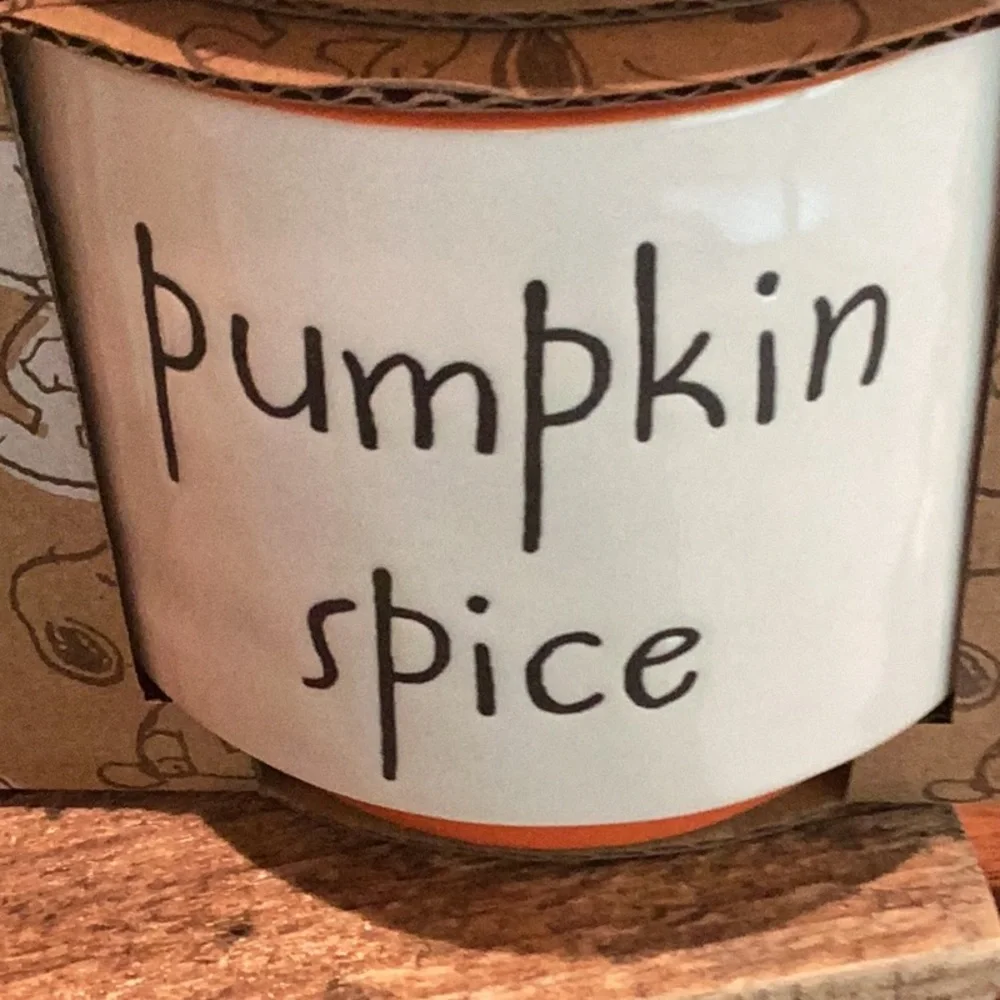 Peanuts x Rae Dunn Fall Ramekin Set - Picture 9 of 12